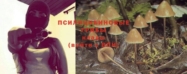 дмт Белоозёрский