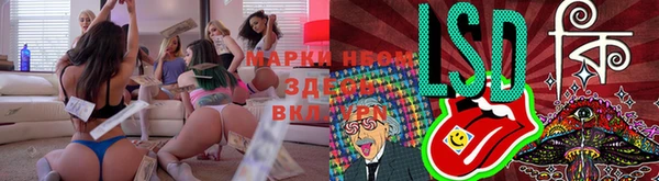таблы Белокуриха