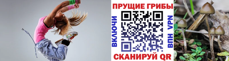 дарк нет как зайти Балабаново Псилоцибиновые грибы прущие грибы